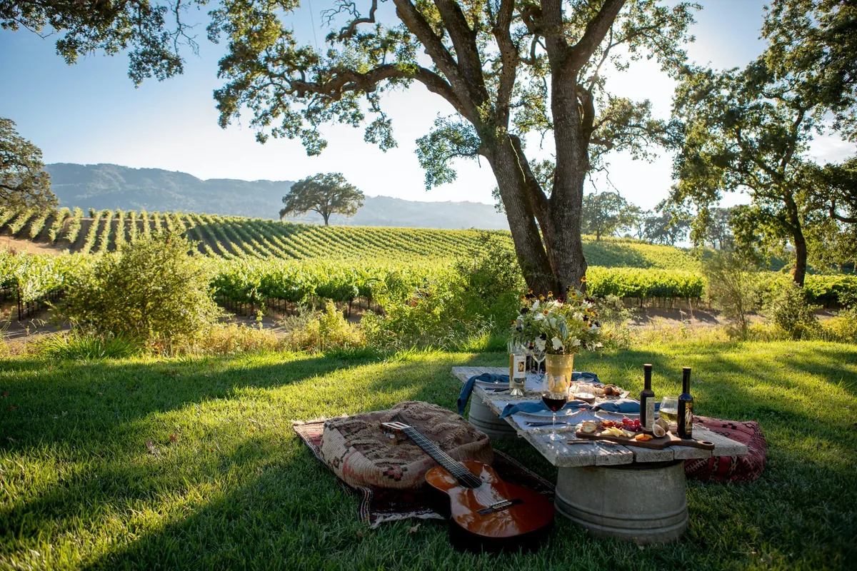 A picnic among the vines in Sonoma County